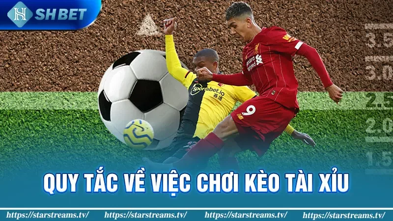 Bí mật chi tiết chinh phục kèo tài xỉu cho người mới bắt đầu 2 Quy tắc về việc chơi kèo tài xỉu