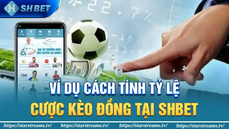 Phân Tích Chi Tiết Kèo Đồng Banh Cho Tân Thủ Từ A - Z 3 Ví dụ cách tính tỷ lệ cược kèo đồng tại SHBET