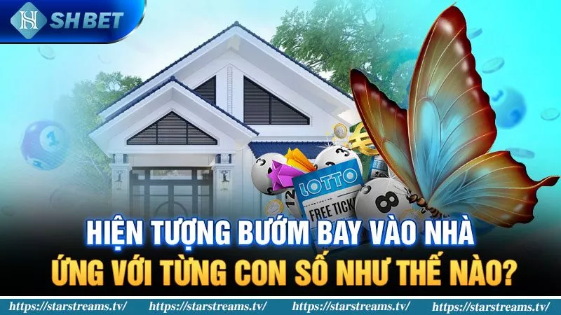 SHBET giải đáp bướm bay vào nhà có chứng tỏ điều gì? 3 Bướm bay vào nhà đánh con gì thắng lớn