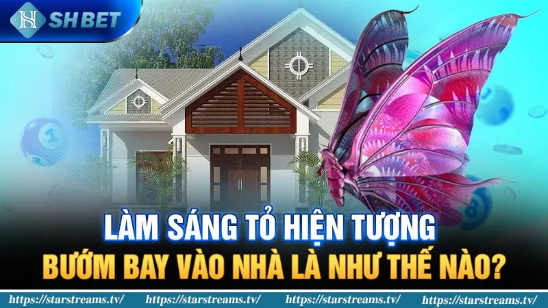 SHBET giải đáp bướm bay vào nhà có chứng tỏ điều gì? 1 Hiện tượng bướm bay vào nhà là như thế nào?