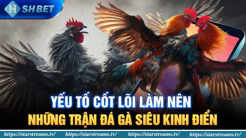 Chi Tiết Những Trận Đá Gà Siêu Kinh Điển Ai Cũng Biết 1 Yếu tố cốt lõi làm nên những trận đá gà siêu kinh điển
